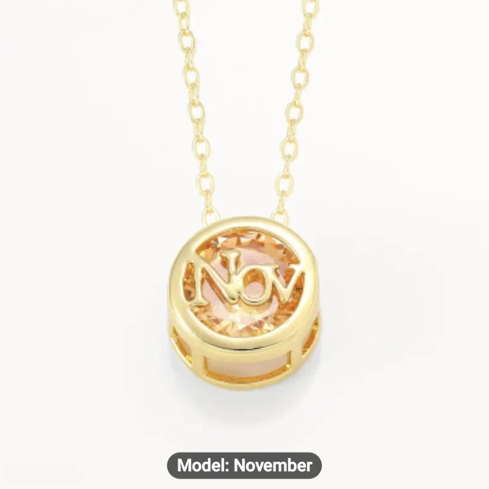 🎉🎉NEW🎉🎉 PRETTY!! Stainless Steel ORANGE NOVEMBER CZ Charm Necklace